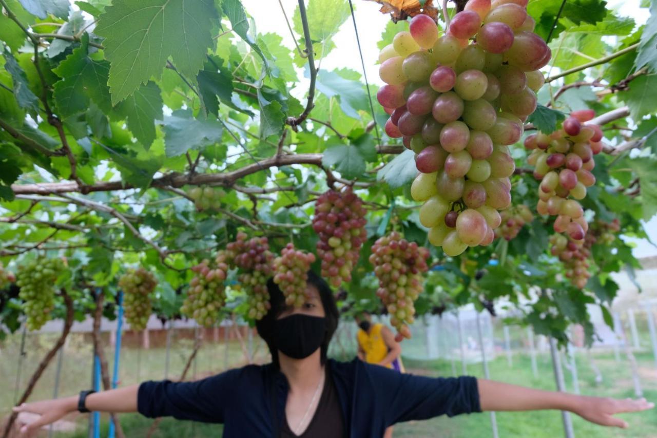 더 심플 코 야오 노이 코야오노이 외부 사진